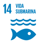 S_INVERTED_SDG_goals_icons-individual-RGB-14-150x150.png