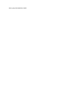 DECLARACION_BIENES_CORP1.pdf