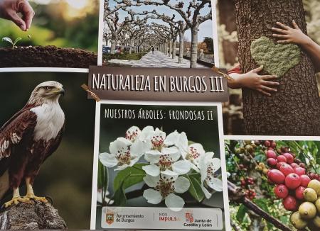 Image NATURALEZA EN BURGOS - Nuestras Frondosas II