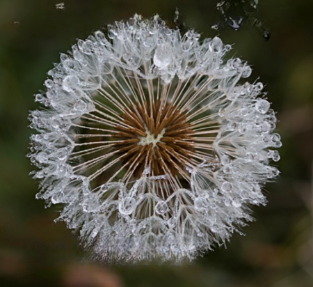 Fragmentos de tiempo. Exposición