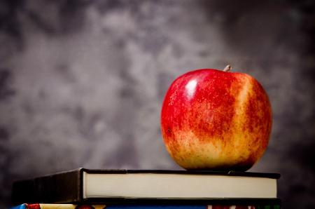 Taller literario "Vida de letra"