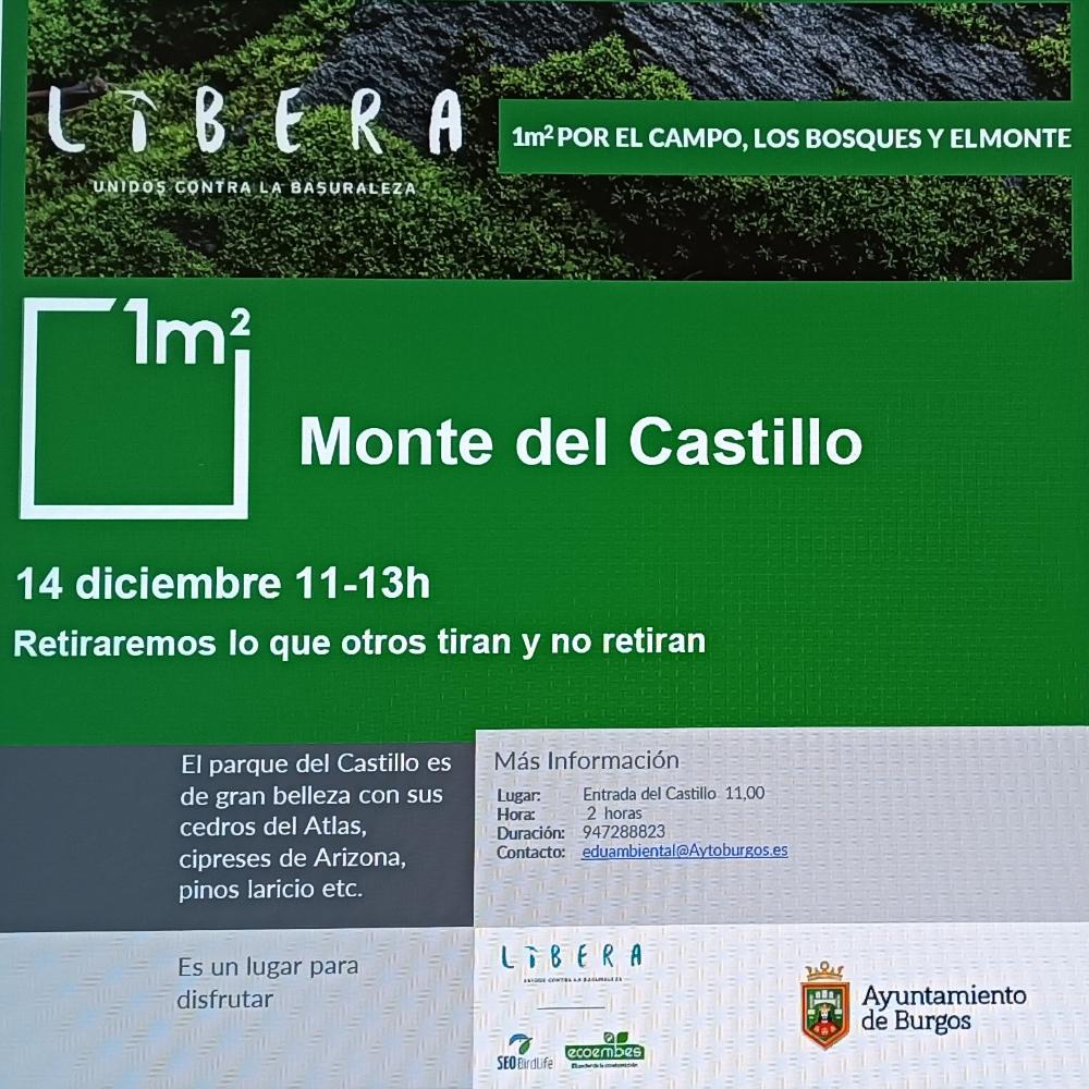 Imagen Recogida de Basuraleza en el Cerro del castillo, el domingo 14 de diciembre de 2025