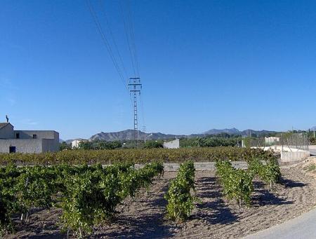 Imagen Convocatoria Huertos de Ocio 26-27