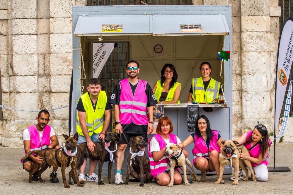 Imagen #BURGOSCONTRALELABANDONO
