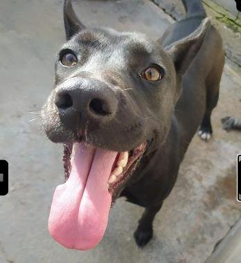 Imagen 5513- Lobita