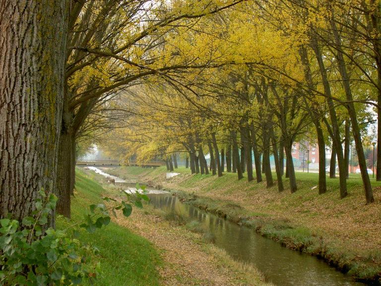 Imagen Promenade Lineal del Vena